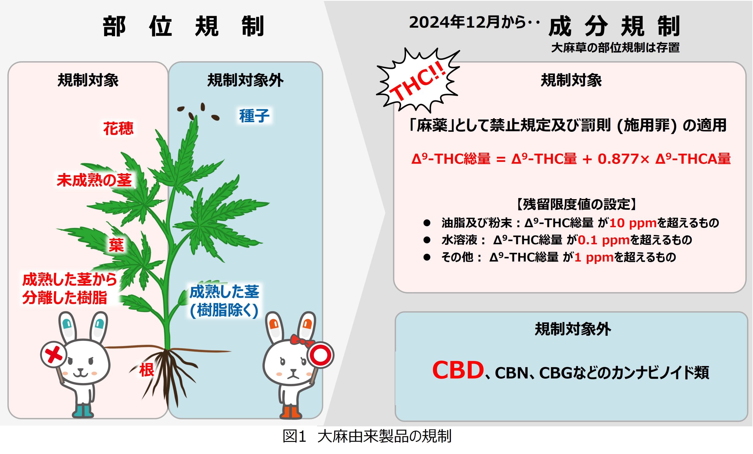 第26回】CBD (カンナビジオール) 製品について - 「 健康食品 」の安全 